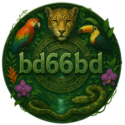 bd666bd